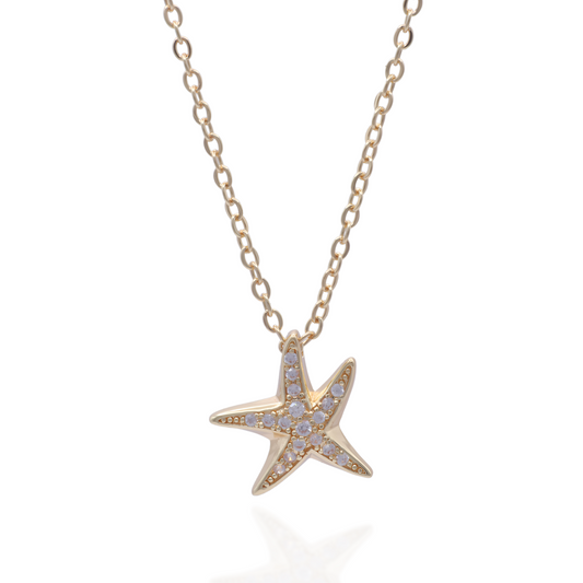 COLLAR ESTRELLA DE MAR 45CM